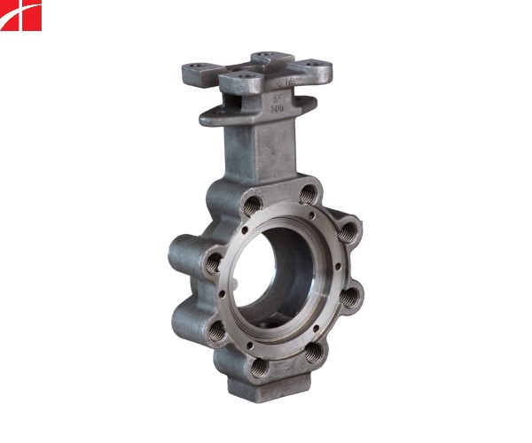 Butterfly Valve 5