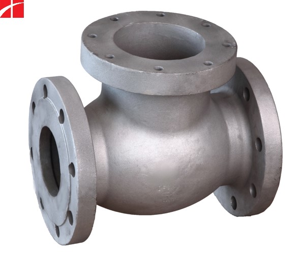 Globe Valve 1